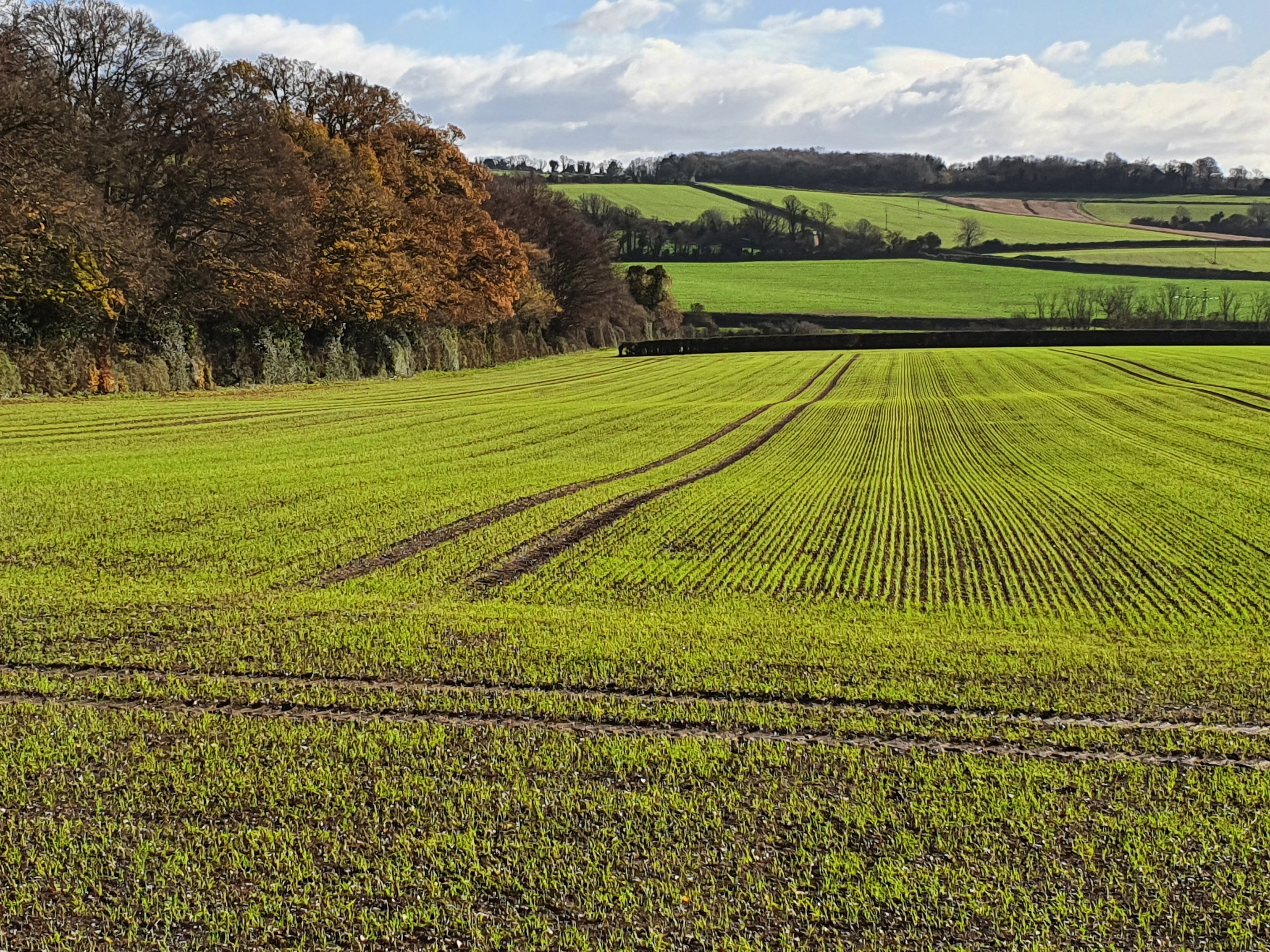 Blandford housing plans 'calledin' by Housing Minister